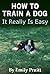 How To Train A Dog - It Really Is Easy