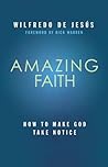 Amazing Faith: Ho...