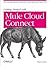 Getting Started with Mule Cloud Connect: Accelerating Integration with SaaS, Social Media, and Open APIs