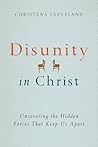 Book cover for Disunity in Christ: Uncovering the Hidden Forces that Keep Us Apart
