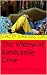 The Widow of Sandcastle Cove