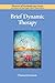 Brief Dynamic Therapy (Theories of Psychotherapy Series®)