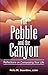 The Pebble and the Canyon Reflections on Composing Your Life by Felix M. Scardino