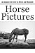 Horse Pictures