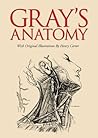 Gray’s Anatomy: W...