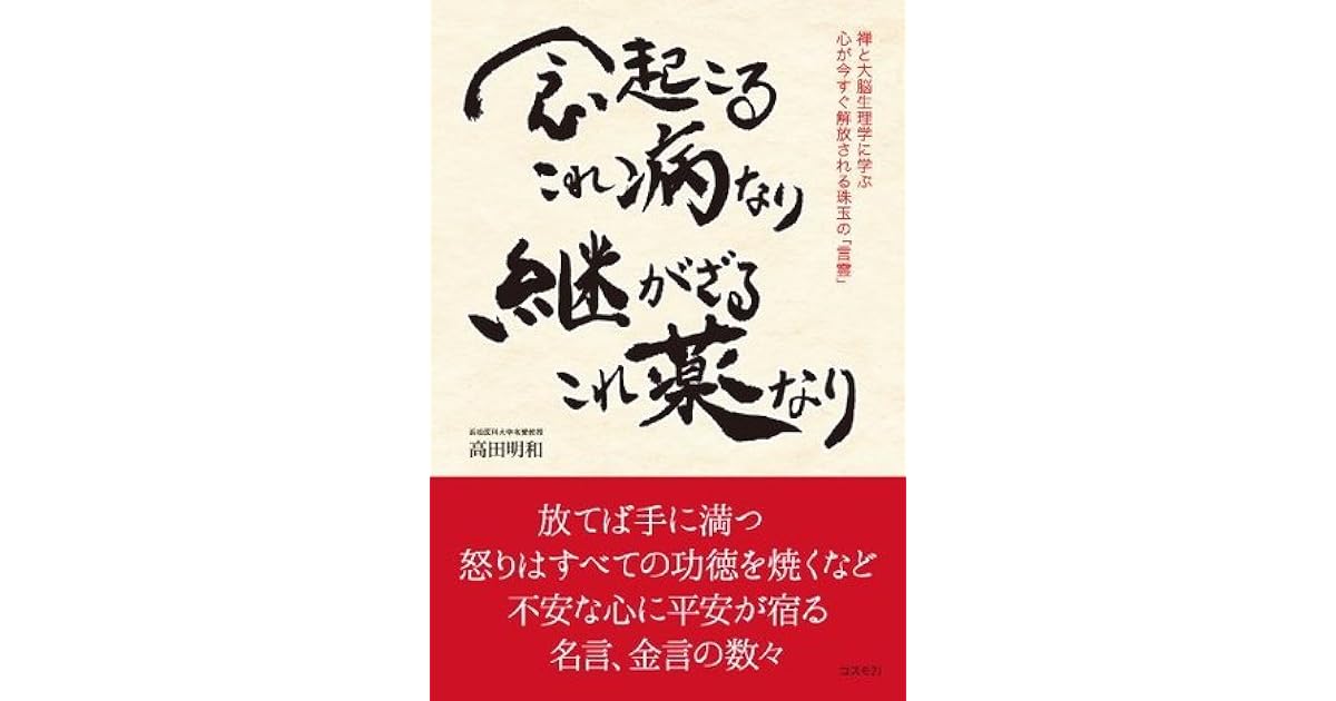念起こるこれ病なり 継がざるこれ薬なり 禅と大脳生理学に学ぶ 心が今すぐ解放される珠玉の 言霊 By 高田明和