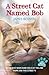 A Street Cat Named Bob by James Bowen