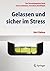 Gelassen und sicher im Stress by Gert Kaluza
