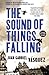 The Sound of Things Falling by Juan Gabriel VÃ¡squez