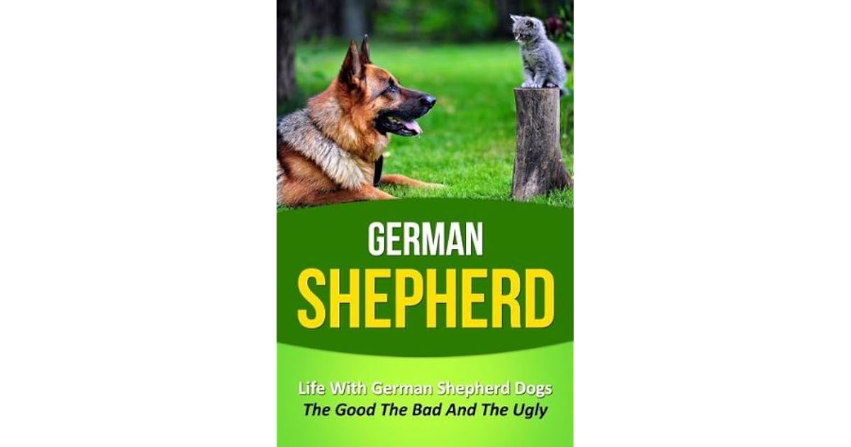 german shepherd savvy