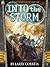 Into the Storm (Malcontents...