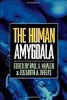 The Human Amygdala