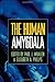 The Human Amygdala