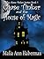 Chase Tinker and the House of Magic (Chase Tinker, #1)
