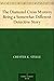 The Diamond Cross Mystery Being a Somewhat Different Detectiv... by Chester K. Steele