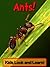 Ants! Learn About Ants and Enjoy Colorful Pictures - Look and Learn! (50+ Photos of Ants)