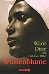 Book cover for Wüstenblume