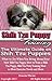 Shih Tzu Puppy Training: Th...