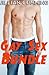 Gay Sex Bundle: 10 Stories