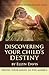 Discovering Your Child's Destiny by Ellyn Davis