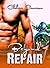 Beyond Repair by Chelsea Camaron