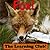 Fox! Learn About Fox And Learn To Read - The Learning Club! (45+ Photos of Fox)