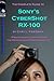 The Complete Guide to Sony's Cybershot RX-100 by Gary L. Friedman