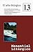 El Año Litúrgico No. 13 Manantial Litúrgico: El año Litúrgico No. 13 Manantial Litúrgico (Coleccion Manantial Liturgico - Liturgical Spring) (Spanish Edition)
