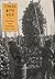 Tinged With Gold: Hop Culture in the United States