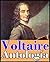 Voltaire, antología (Incluye novelas, cuentos, cartas y escritos filosóficos, Diccionario filosófico, Tratado sobre la tolerancia y  El Siglo de Luis XIV) (Spanish Edition)