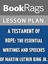 Lesson Plan A Testament of Hope: The Essential Writings and Speeches of Martin Luther King, Jr by Martin Luther King, Jr.