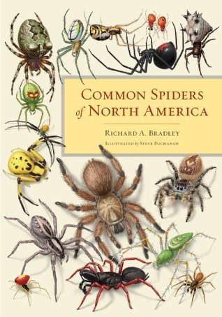 Common Spiders of North America (Kindle Edition)