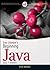Ivor Horton's Beginning Java, Java 7 Edition