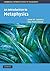 An Introduction to Metaphysics (Cambridge Introductions to Philosophy)