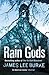 Rain Gods (Hackberry Holland)
