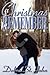 A Christmas to Remember by Debra St. John