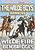 Wilde Fire (The Wilde Boys Book 2)