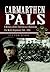Carmarthen Pals: A History of the 15th (Service) Battalion The Welsh Regiment, 1914-1919