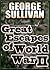 Great Escapes of World War II by George Sullivan