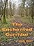 The Enchanted Corridor
