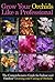 Grow Your Orchids Like a Professional: The Comprehensive Guide for Indoor and Outdoor Growing and Caring of Orchids