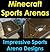Sports Arena Design: Minecr...