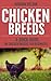 Chicken Breeds: A Quick Guide on Chicken Breeds for Beginners