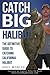 Catch BIG Halibut - The Definitive Guide to Catching California Halibut