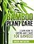Bamboo Plant Care - How to Grow and Care for Bamboo by Renaldo Mirambil