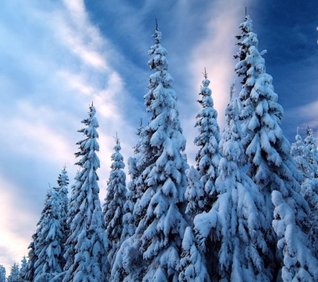 The Children's Book Of Christmas Stories (Annotated) [Einstein Books]