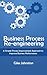 Business Process Re-enginee...