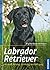 Labrador Retriever: Auswahl...