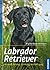 Labrador Retriever by Brigitte Rauth-Widmann