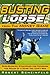 Busting Loose From the Money Game by Robert Scheinfeld